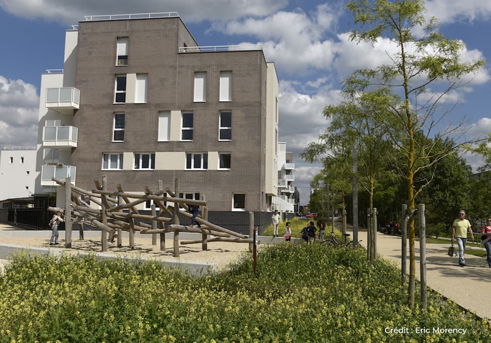 Densité Bois d'arcy